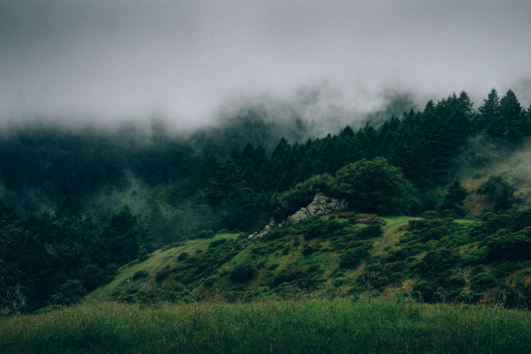 手机号压测工具